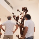 Exposição Frans Krajcberg-16