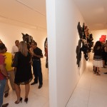 Exposição Frans Krajcberg-26