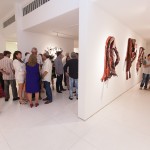 Exposição Frans Krajcberg-30