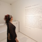 Exposição Frans Krajcberg-38