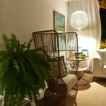 Casa Agua de coco (29)