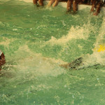 1 Ano de R2 academia  (68)