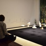 Carmen MultiArt (17)