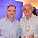 José Guedes – Fendas  (4)