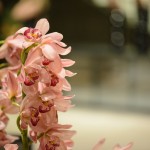 DM20160428-0129