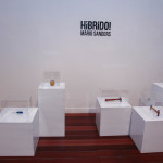 EXPOSIÇÃO DE ARTE  (13)
