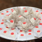 ANIVERSARIO 15 ANOS CAROLINA LIS  (10)