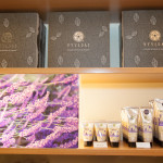 F-hits com Helena Lunardelli no Vyvedas Iguatemi-3