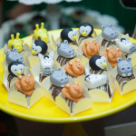 Niver 5 Anos Joao Victor Ximenes  (8)