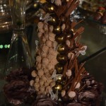 Pryscilla Novaes e Alexandre Palácio (11)