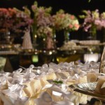 Pryscilla Novaes e Alexandre Palácio (9)