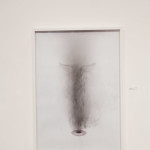 Um Ano da Galeria Contemporarte-10
