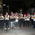 viii-exposicao-amigos-em-acao