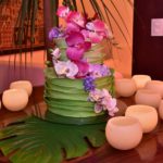 Luau Eliziane Colares (3)