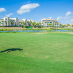 GOLF (50)