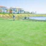 GOLF (74)