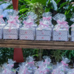 Niver Fernanda Queiroz (24)