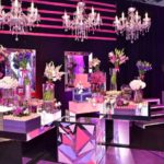 15 Anos Beatriz Bezerra (6)