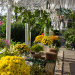 Aniversário de Paulo Vieira (13)