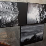 Exposição Coletiva Artistas Cearenses (22)