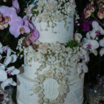 Niver Vanessa Queiros (7)
