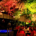 Aniversário Fernanda Levy (2)