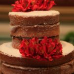 Aniversário Fernanda Levy (5)