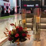 Inauguração nova loja do grupo Newland