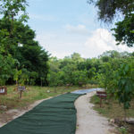 40 Anos C. Rolim   Compromisso Verde (23)