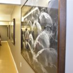 Exposição Luz E Sombra (10)