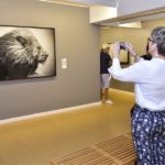 Exposição Luz E Sombra (14)