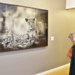 Exposição Luz E Sombra (17)