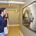 Exposição Luz E Sombra (20)