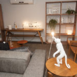 Inauguração Nova Desconexo 10