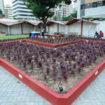 PRAÇA MOTA MACHADO (4)