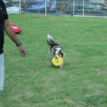 Praça Mota Machado (13)