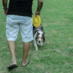 Praça Mota Machado (14)