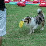 Praça Mota Machado (16)