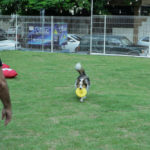 Praça Mota Machado (7)