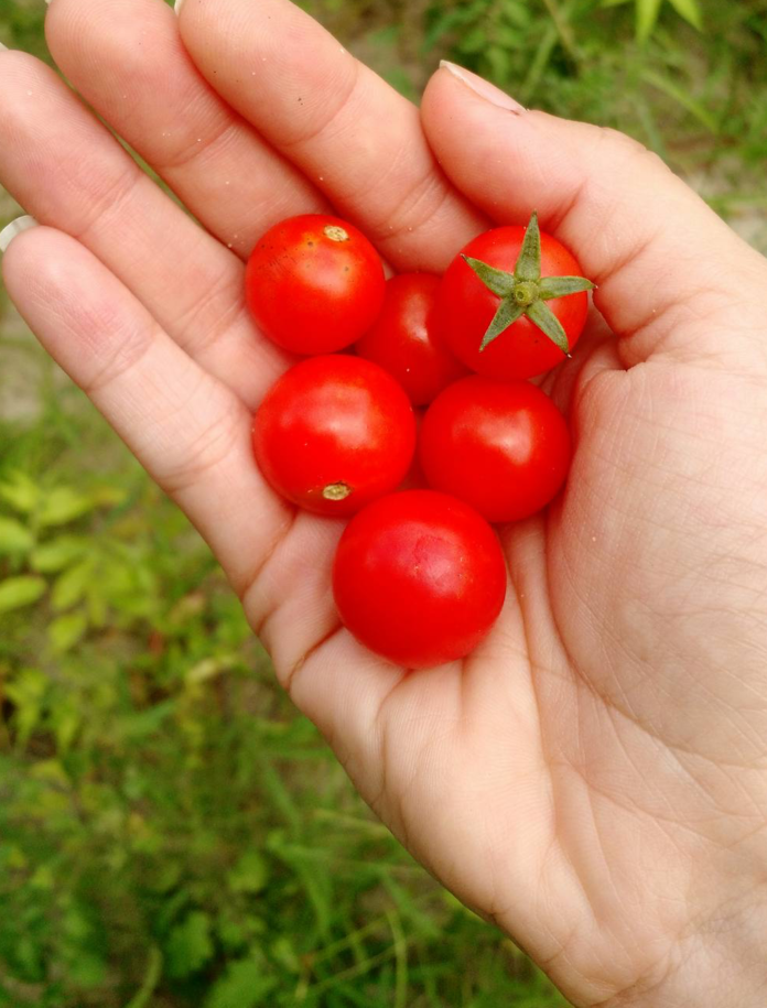 Agro