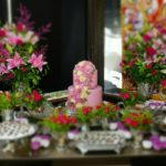 Aniversário Rosele Diogo (5)