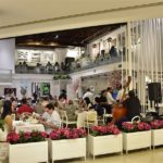 Garrafeira Rio Mar (1)