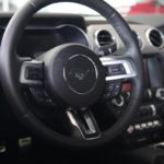 Mustang (1)