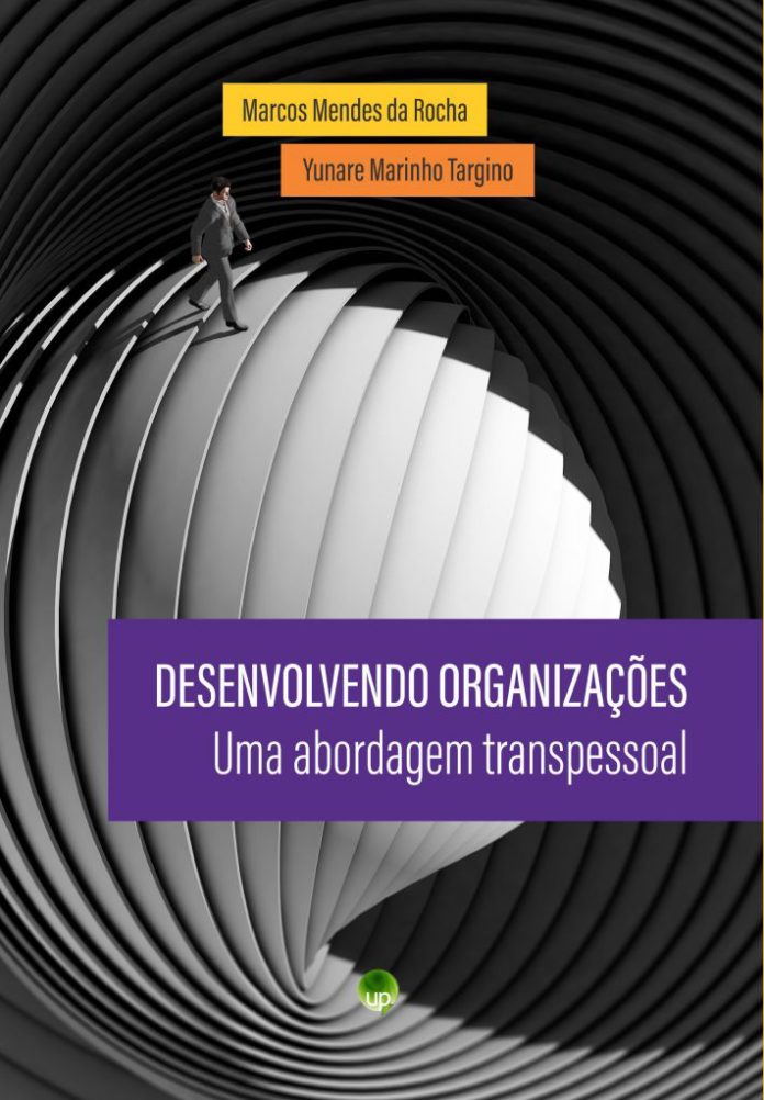 Livro Desenvolvendo Organizaçãoes Capa Amazon 711x1024