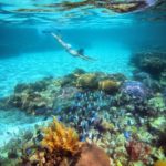 Cms_cozumel_inline_snorkeling