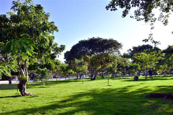 Parque Estadual Do Cocó (22)