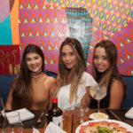 Jazztronic Sótão Moleskine 4