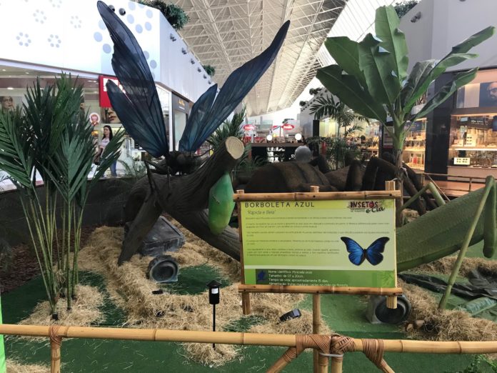 Exposição Natureza Gigante_Iguatemi Fortaleza (3)