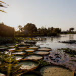 Pôr Do Samba   Colosso Lake Lounge 7