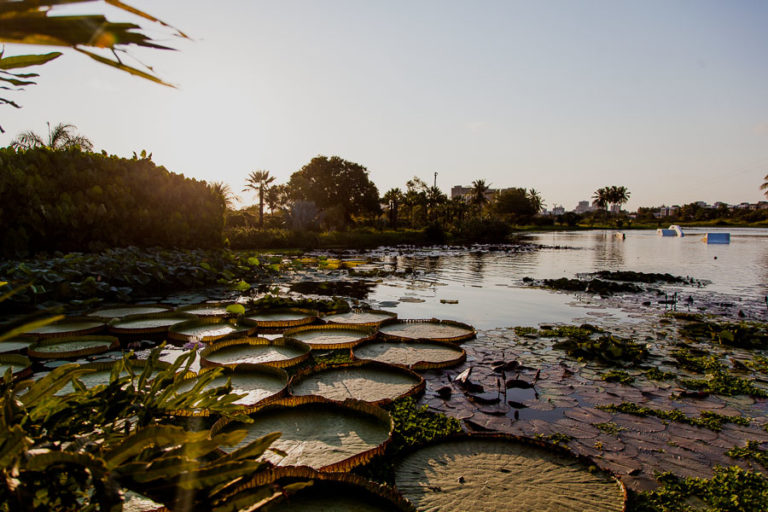 Pôr Do Samba   Colosso Lake Lounge 7